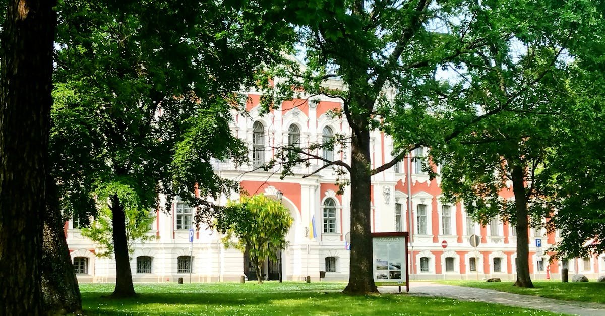 Cień nie musi być wrogiem: jak wyczarować gęsty trawnik pod koronami drzew