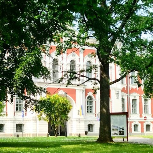 Cień nie musi być wrogiem: jak wyczarować gęsty trawnik pod koronami drzew