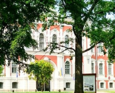 Cień nie musi być wrogiem: jak wyczarować gęsty trawnik pod koronami drzew