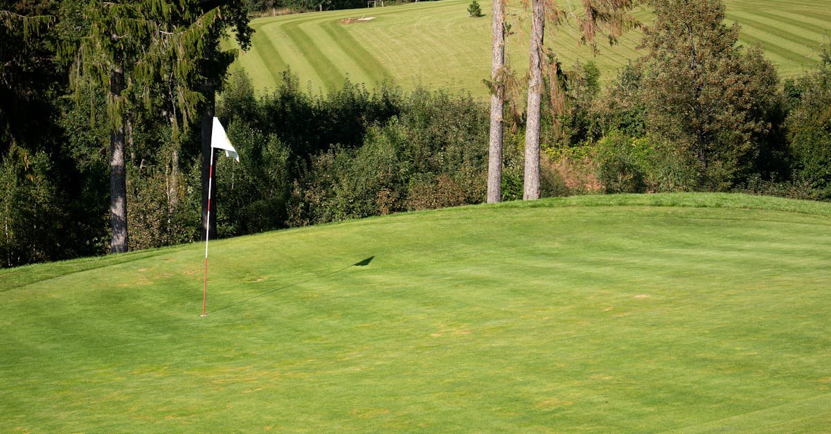 Golf vs. łowiectwo: wielkie porównanie dalmierzy — kluczowe różnice, testy i rekomendacje
